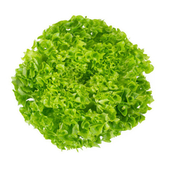 Лимамбо семена салата листового (Rijk Zwaan / Райк Цваан)