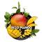BlackBurn Ekzo Mango (Сочное Манго) 25 гр.