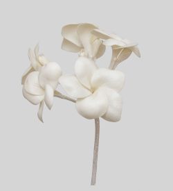 TR 614HM1 Плумерия 5 бутонов без листьев