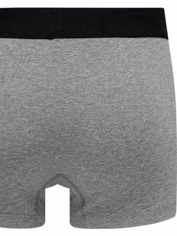 Трусы мужские ( набор 2 шт. ) LEVI'S SOLID BASIC TRUNK ORGANIC CO 2P