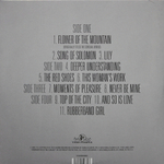 Kate Bush / Director's Cut (2LP)