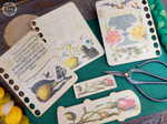 Органайзер «Mira calligraphiae» с лягушкой