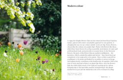 Colour in the Garden: Stylish ideas for year-round colour