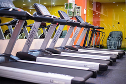 Беговая дорожка SPIRIT CT850 Graphite gray