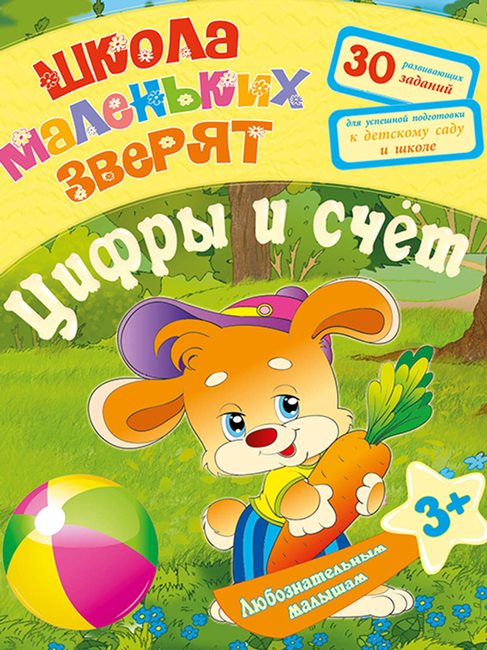 Полный курс подготовки к школе. 6 книг по всем направлениям развития