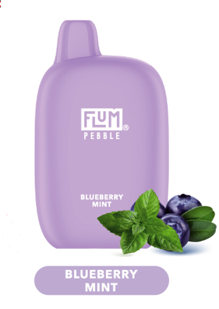 FLUM 6000 Blueberry mint Черника-мята купить в Москве с доставкой по России