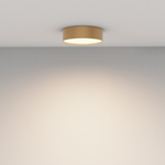 Потолочный светодиодный светильник Maytoni Zon C032CL-24W3K-RD-MG