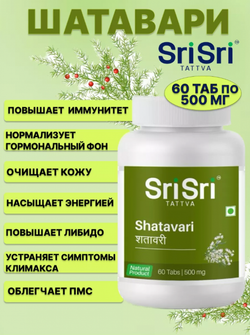 Шатавари Шри Шри в таблетках Shatavari Sri Sri Tattva