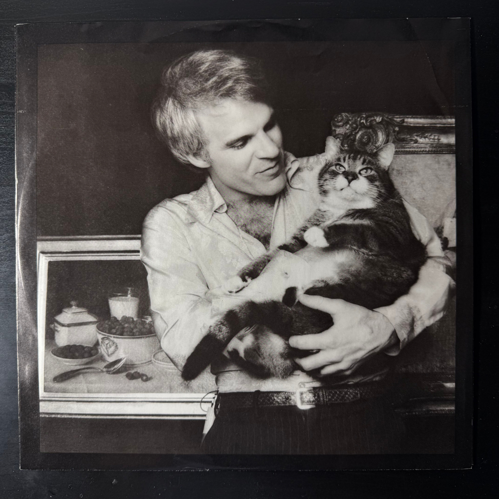 Виниловая пластинка Steve Martin ‎– A Wild And Crazy Guy LP
