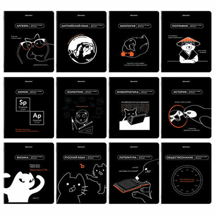 Тетради предметные, КОМПЛЕКТ 12 ПРЕДМЕТОВ, 48 л., TWIN лак, BRAUBERG "МЕМЫ", 405172