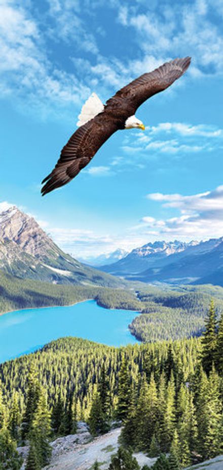 В полете 97x204 см, люкс