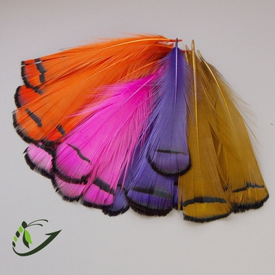 Шейные перья алмазного фазана Amherst Pheasant Tippets (10 шт)