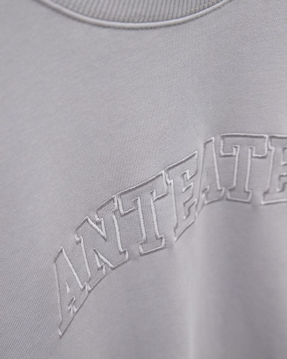 Купить Толстовка Anteater Crewneck BigText серая Толстовка Anteater Crewneck BigText серая