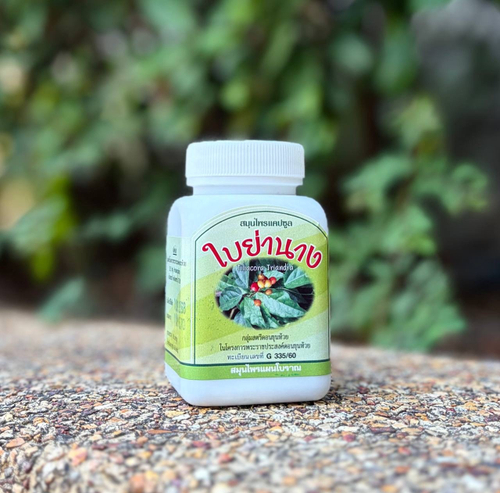 Капсулы Янанг (Тилиакора трехтычинковая) Tiliacora Triandra Capsules Duangporn