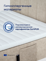 Бескаркасная кровать с матрасом BuySunny (велюр)