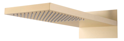 Лейка верхняя FUSION Gold