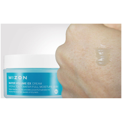 Mizon Water Volume EX Cream супер-увлажняющий крем для лица со снежными водорослями