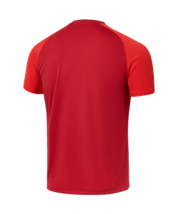 Футболка тренировочная JOGEL PREMIER PerFormDRY Training Tee, темно-красный/красный