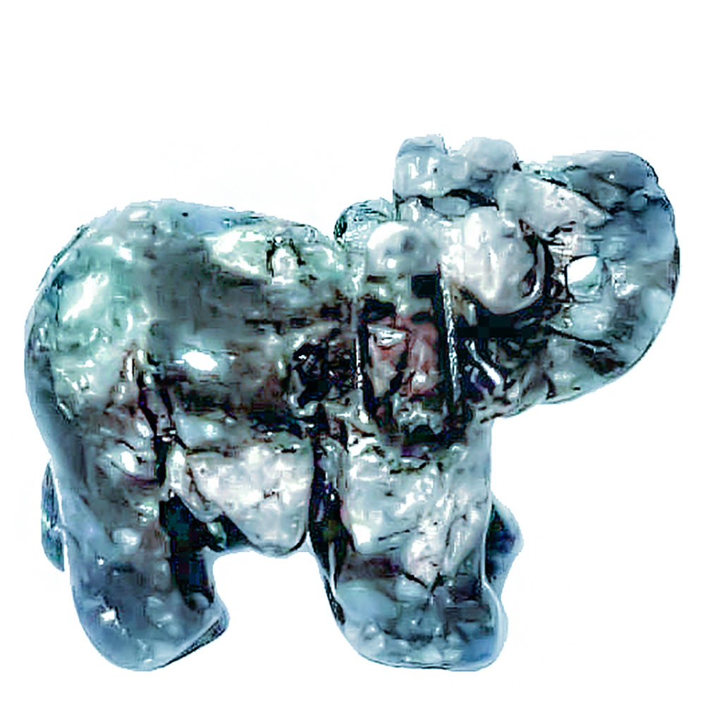 Слон либерит асс.