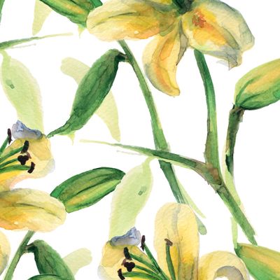 Нежные лилии