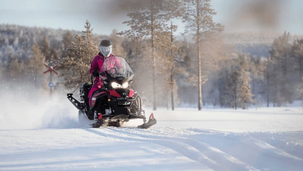 Снегоход BRP Lynx 59 Ranger 900 Ace Alpine (2024)