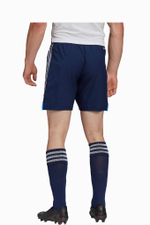 Шорты adidas Condivo 22 Match Day