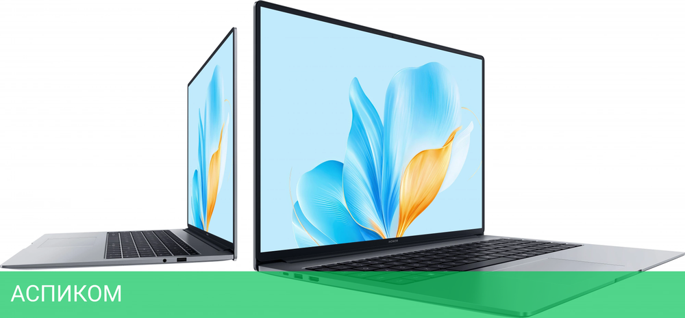 Ноутбук Honor MagicBook X16 2025 BRG-565 Space Gray (5301ALWS)