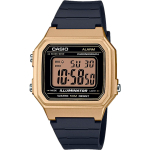 Мужские наручные часы Casio Collection W-217HM-9A