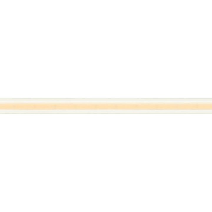Светодиодная влагозащищенная лента Arlight 11,5W/m 544LED/m CSP теплый белый 5M 032179(2)