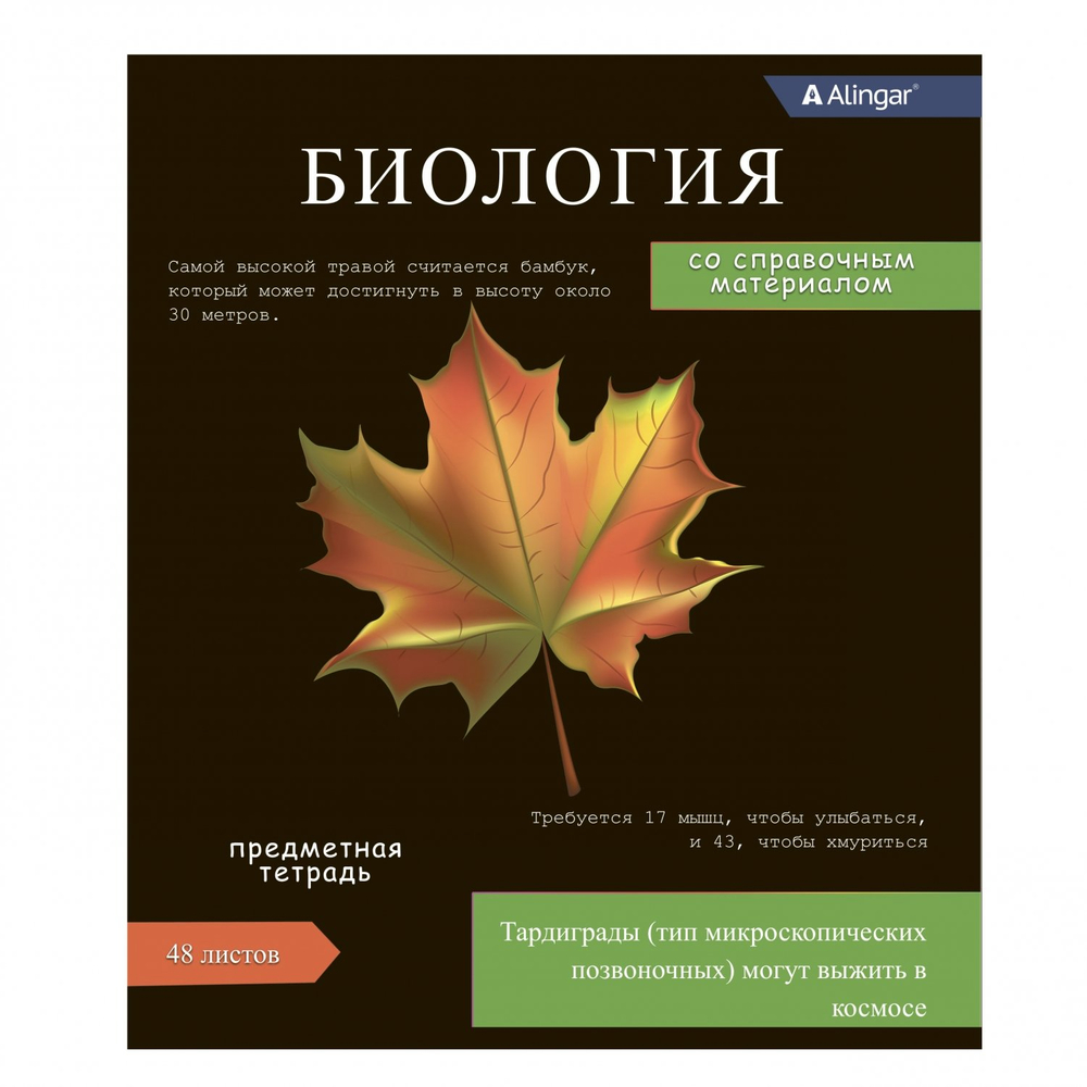 Комплект предметных тетрадей А5 48л.,10 предм., со справочным материалом, скрепка, мелованный картон(стандарт), блок офсет, Alingar "Journal"