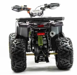 Квадроцикл Motoland 125 WILD A