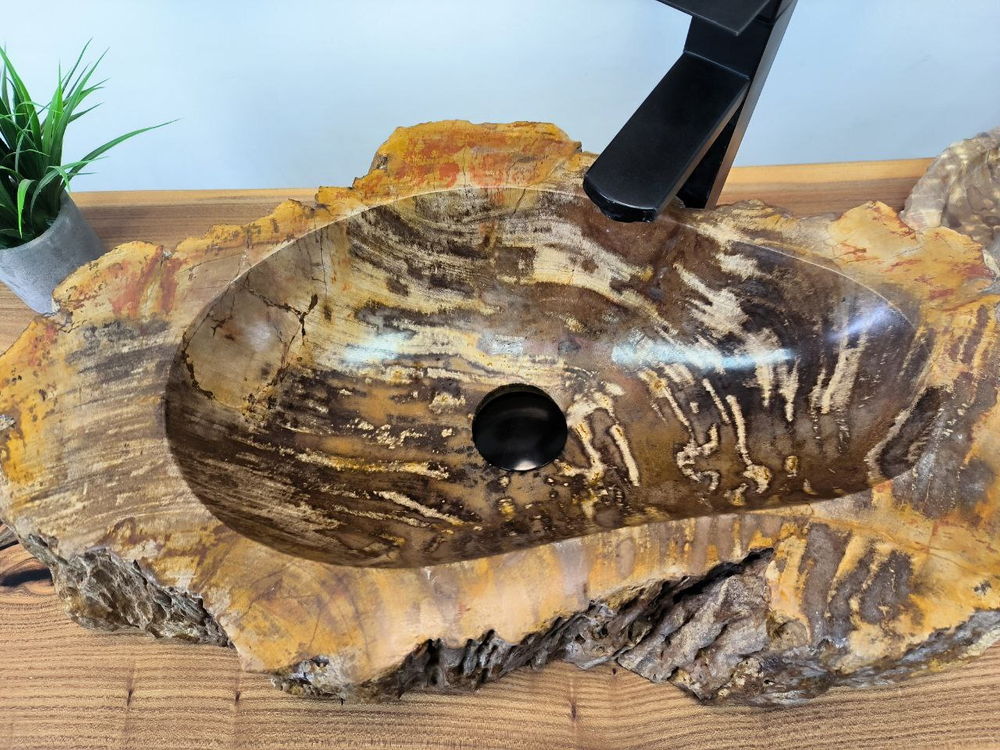 Раковина из окаменелого дерева OD-65683 60х36х15 из натурального камня