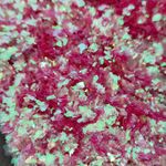 Хлопья Розовые перламутровые для дизайна ногтей, маникюра, бодиарта, макияжа...