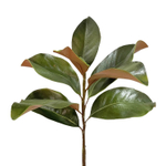 Магнолия ветка 70 см
