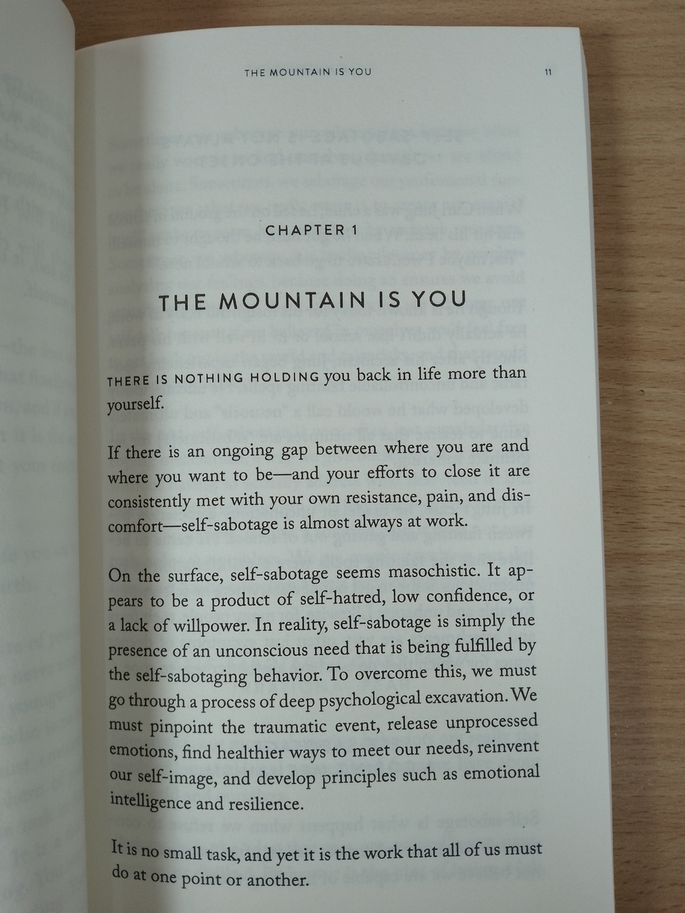 The Mountain Is You: Transforming Self-Sabotage Into Self-Mastery