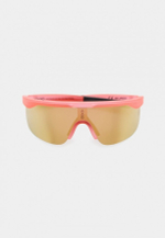 Спортивные очки AVEO Iride / Fluo Pink / Gold Mirror Lens