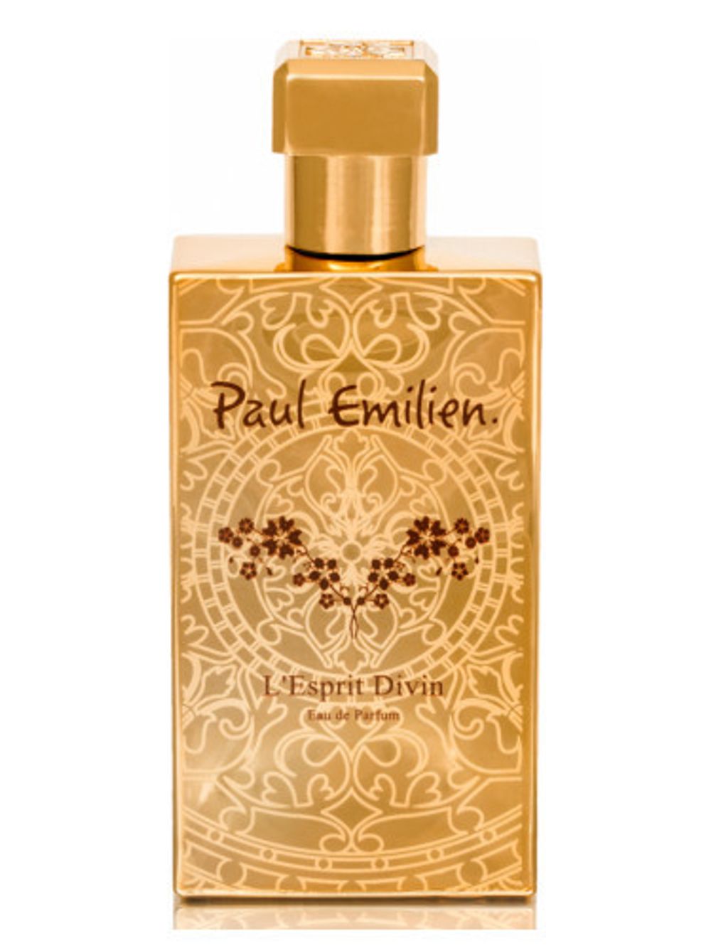 Paul Emilien L'Esprit Divin