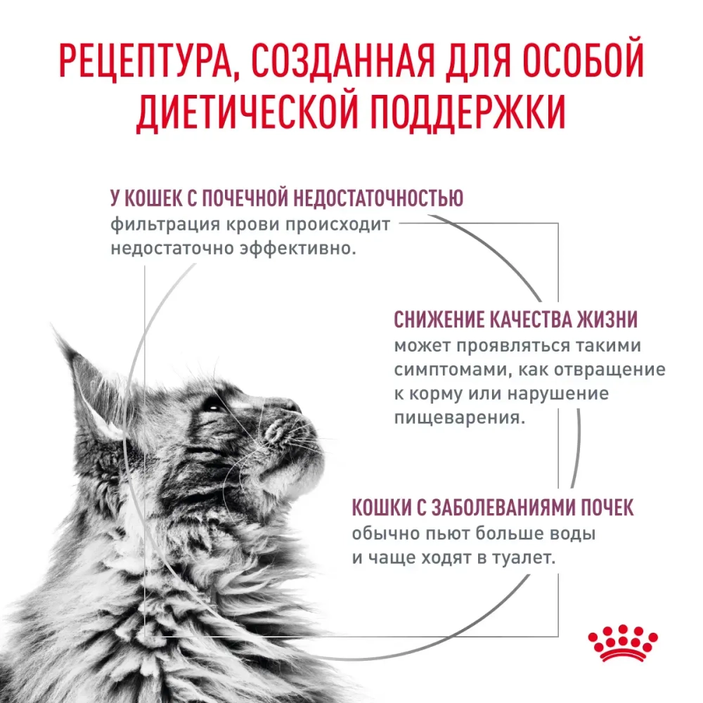 Корм сухой для кошек Royal Canin Renal feline, 2кг