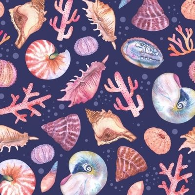 Ракушки, кораллы, морские ежи акварелью