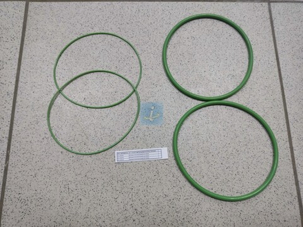 Комплект уплотнительных колец гильзы (1гильза, 4шт) 650-1002003-01