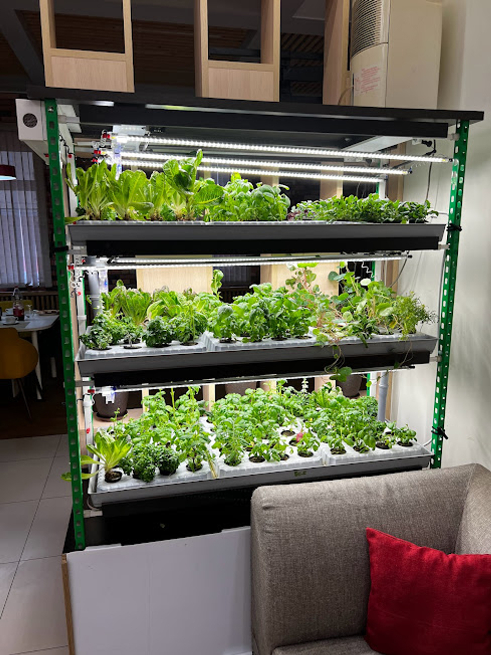 Гидропонная ферма «Лаборатория биолога 3.0» с принадлежностями