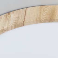 Citilux Бейсик CL738182V LED Светильник накладной Клён