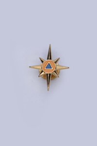 Петличная эмблема МЧС России (винт, новый образец)
