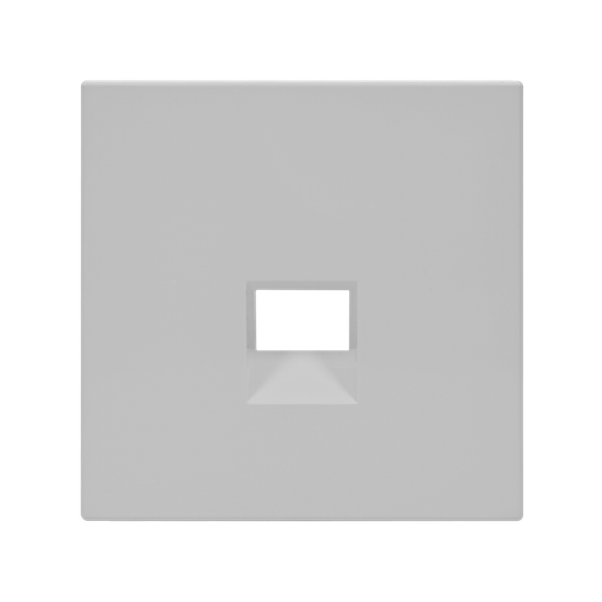 Накладка информационная ArtGallery типа Keystone бел. SE GAL000184