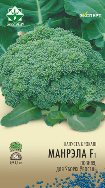 Капуста брокколи "Монрелло F1" 12шт, Нидерланды.