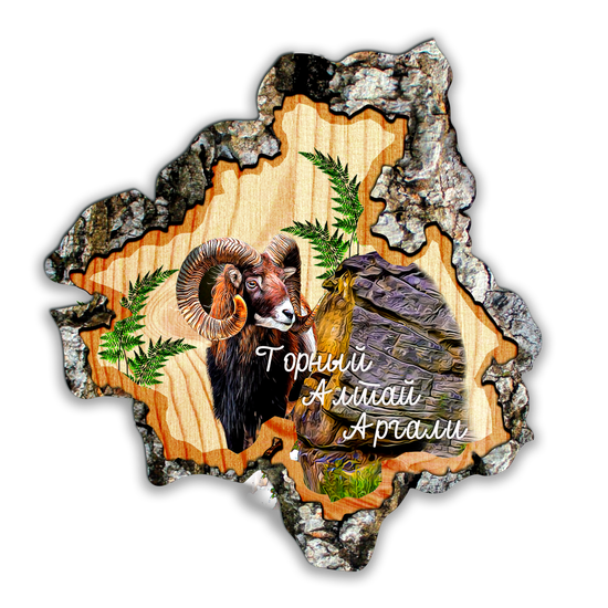 Магнит спил Республика" Аргали"