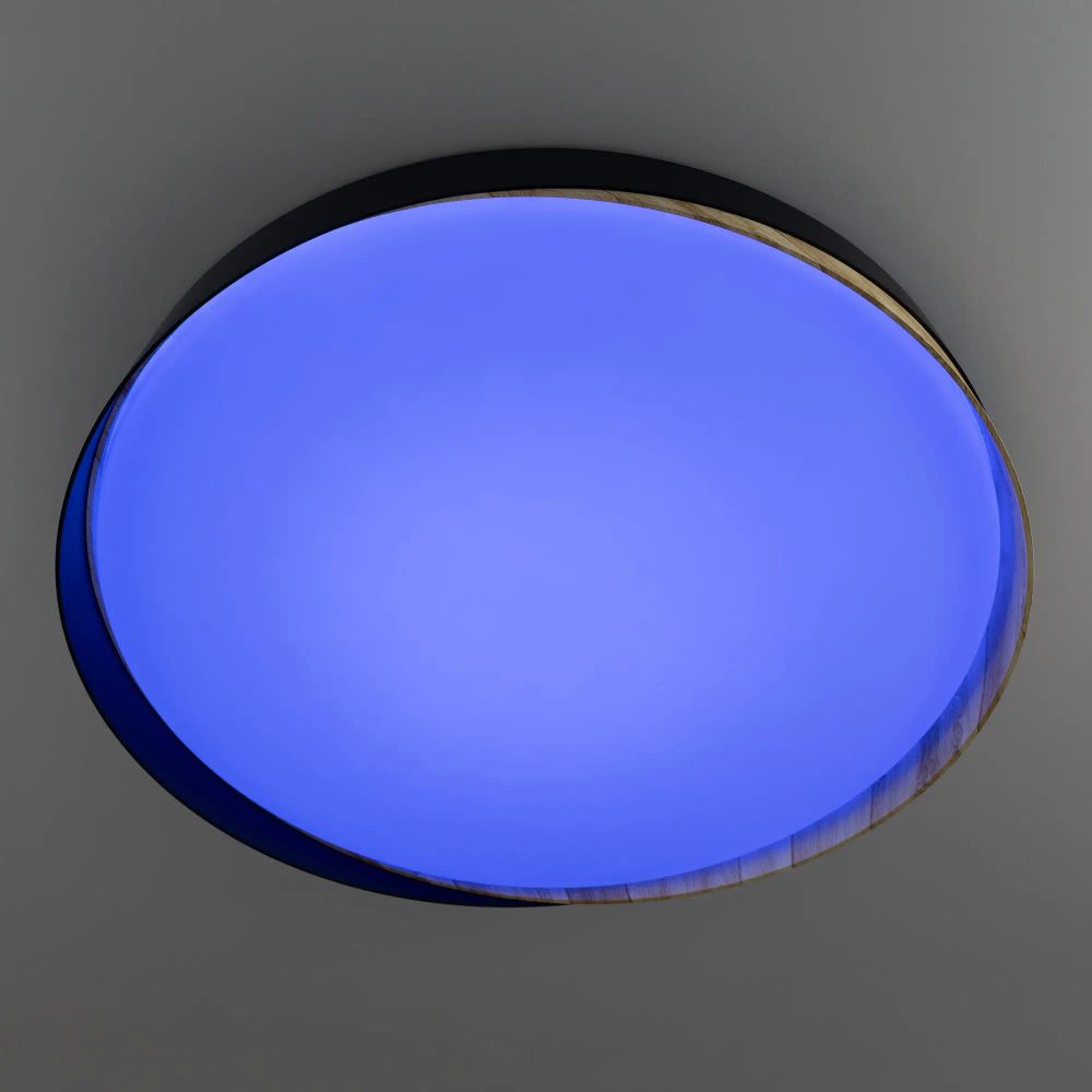 Citilux BONNY CL754451G LED RGB Светильник с пультом Чёрный + Клён