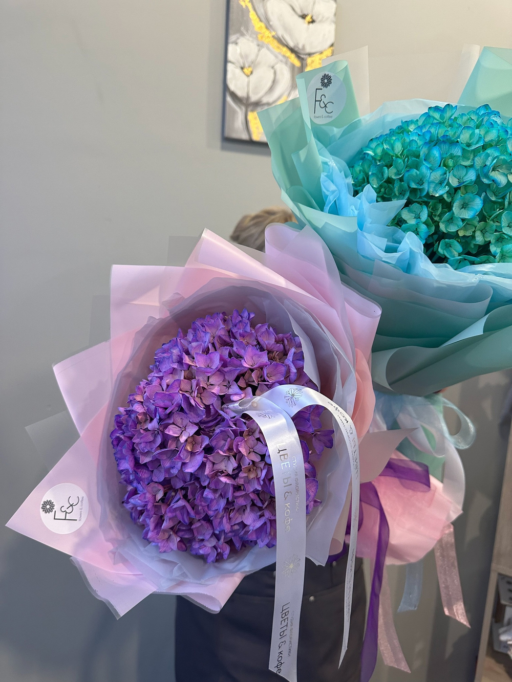 Гортензия Эквадор размера jumbo 30 см диаметром 🤩