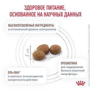 Сухой корм Royal Canin GASTROINTESTINAL для взрослых кошек при расстройствах пищеварения