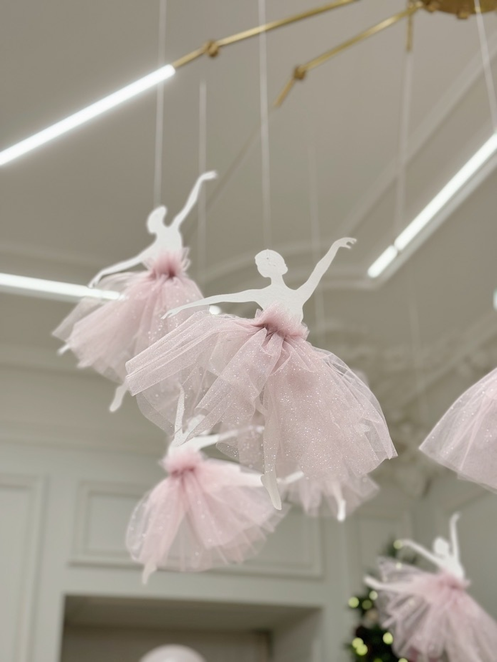 Ballet Party (home party)